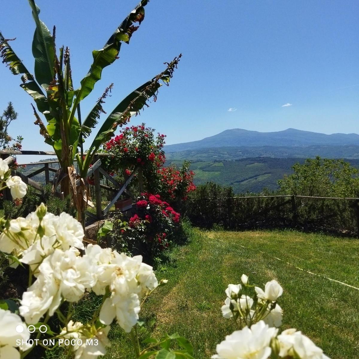 Landhuis Poggio Al Vento *