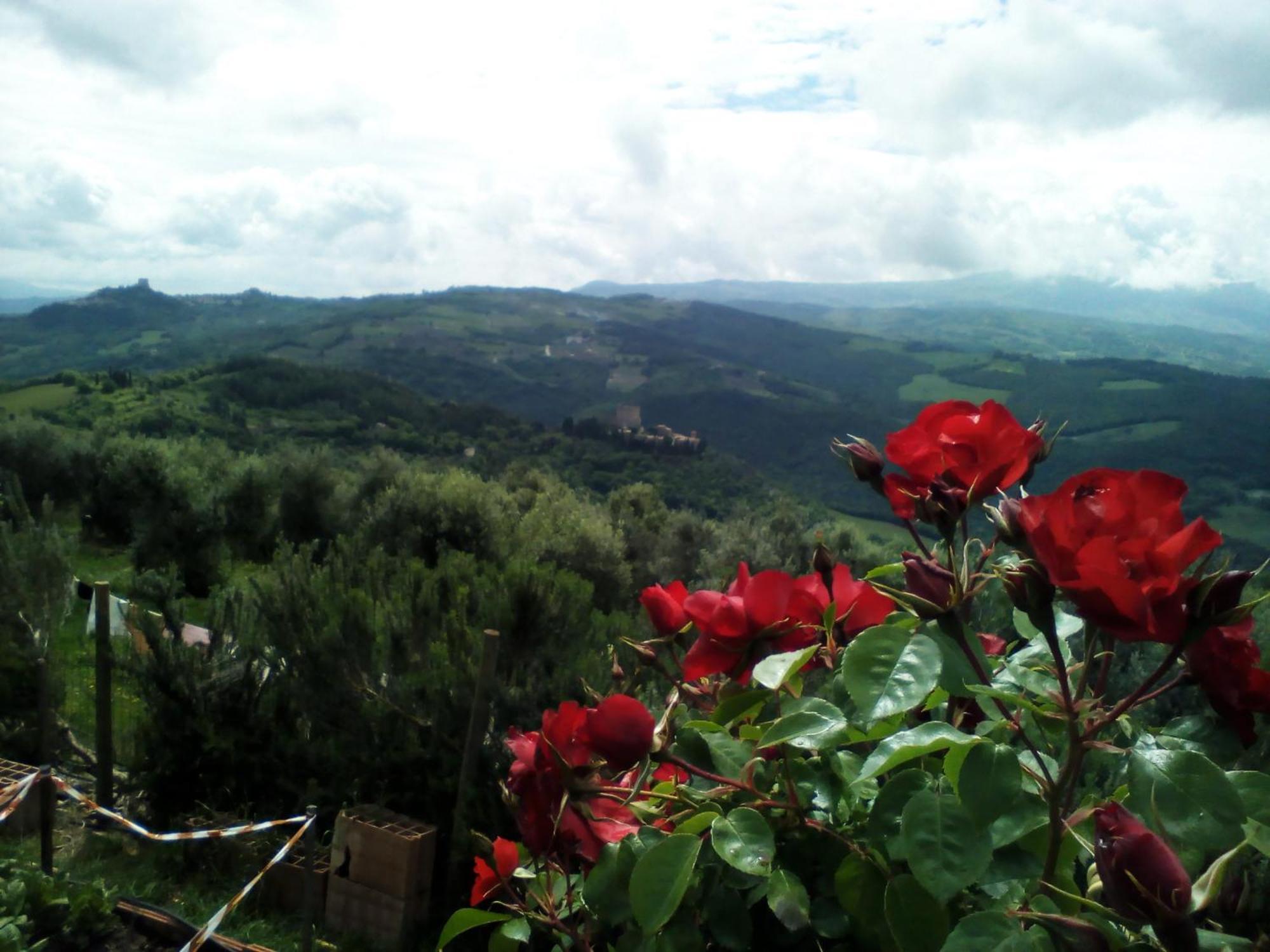 Poggio Al Vento *
